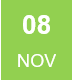 Icon Nov 08