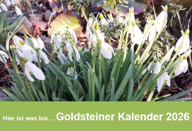 Startseite Kalender 2026 Schneeglöckchen
